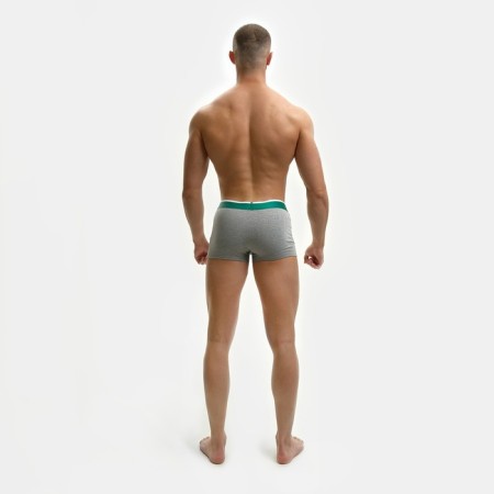 Panties men's panties, color gray mix, size 54-5