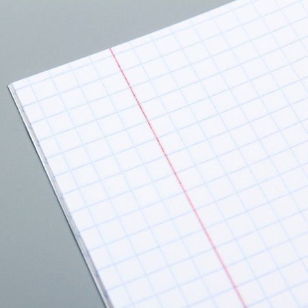 A set of notebooks 10 pieces, 12 sheets, in a cage, cover covered paper, Masha and a bear-7