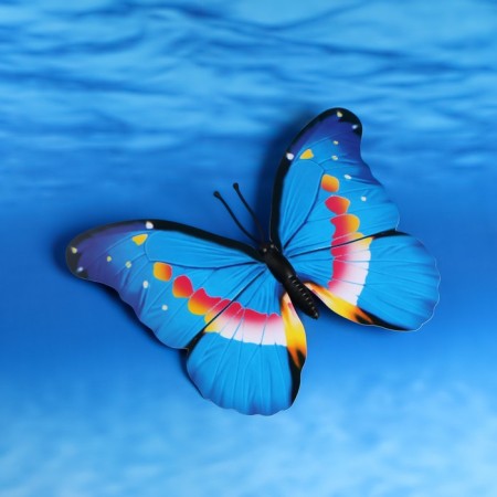 Decor for magnet "Butterfly" 30cm, mix-9