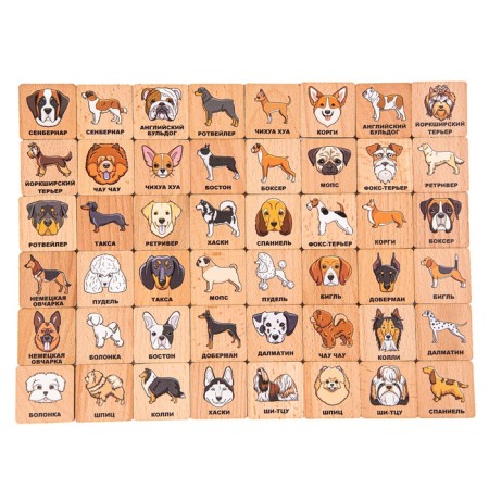 Memory "Dogs", in a cardboard box
