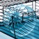 Mini cell for rodents "Pijon" No. 1, equipped, 27 x 15 x 13 cm, turquoise