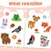 Coloring with stickers "Raccoon", 12 p.