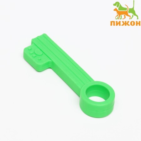 Chewing toy "Key", TPR, 10 cm, green