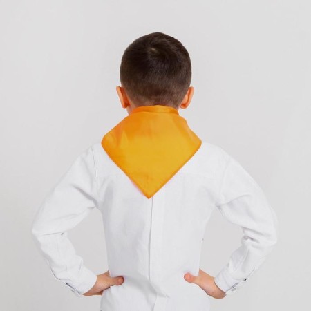 Pioneer tie, orange color-1