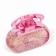 Perfume Water Women's Chris Adams Gifted, 100 ml