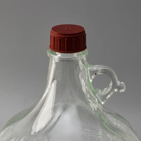 Glass bottle "Daria", 5 l, with a lid-1