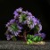 Artificial Aquarium plant, 11 x 21 cm