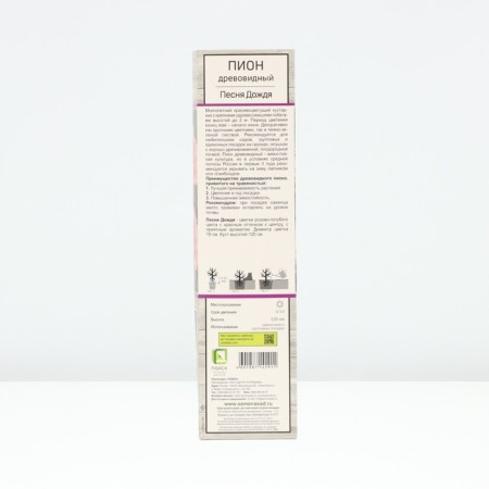 PION tree (vaccinated on grassy) "song of rain", 1 pc, tube, spring 2025-1