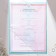 A folder for a certificate of marriage "Let the hearts knock in unison", A5