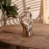 Souvenir "palm up" aluminum 28 cm