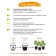 Universal coconut substrate, 25 l, 100% coconut peat