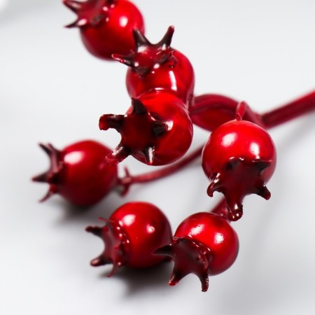 Decor for the creativity "Irga Red" 5.5 cm-2