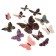 Butterflies cardboard "Geometry with gold" set 12 pcs h = 4-10 cm on magnet