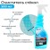 Grand Caratt glass cleaner, 500 ml, trigger