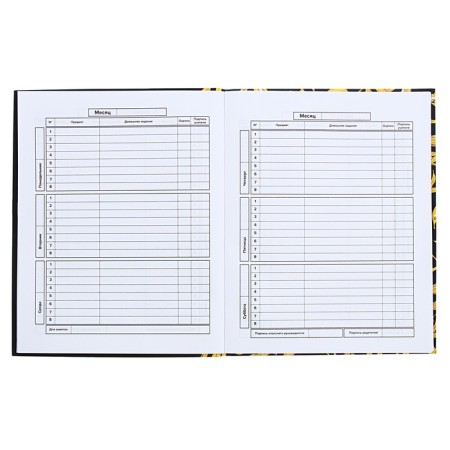 Universal Grade 1-11 Diary, 48 sheets "Art Banan", integral cover, matte lamination, selective UV-fluid-7