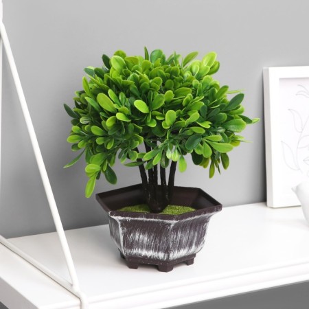 Bonsai in the pot "Ficus leaves" 11x21 cm