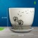 Pot Flower dandelion 5l with a stand