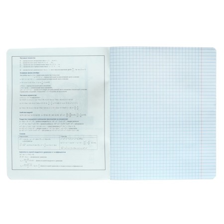 A notebook “Bright details”, 48 sheets in the “Algebra” cage, covered cardboard, selective twin-lak, UV-lak, OFSET block-2