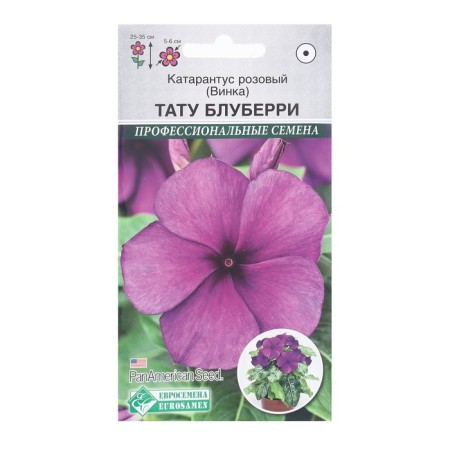 Flower seeds Catarantus pink, vinka tattoo bluberry, 5 pcs
