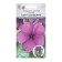 Flower seeds Catarantus pink, vinka tattoo bluberry, 5 pcs