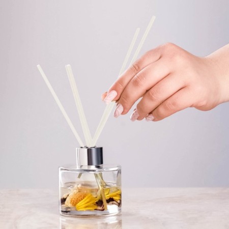 A set of fiber sticks for aromatic diffuser, 25x0.3 cm, 10 pieces, white-2