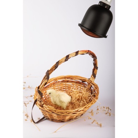 Lamp for Terrariums and Bruders era Fito-E27-Schaade with a protective grille-8