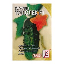 Cucumber seeds 