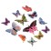 Butterflies cardboard "peas" set 12 pcs h = 4-10 cm on magnet