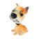 Dog on a car panel shocking his head, a mongrel