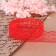 Capricon lace, 22 mm × 10 ± 1 m, color red No. 20
