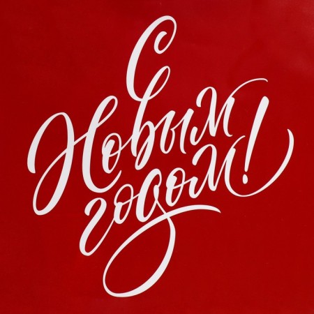 Laminated vertical packet “With a gift for you”, ML 21 x 25 x 8 cm, New Year-3