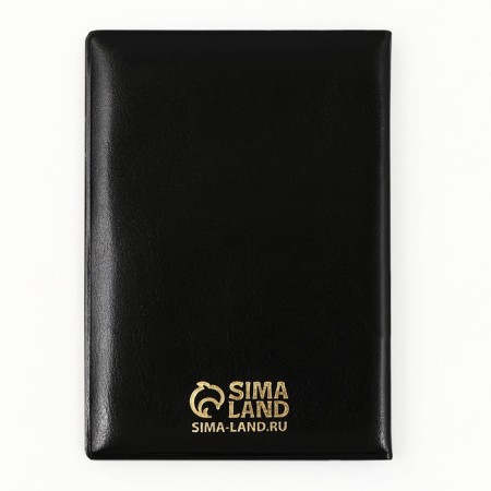 Cover for passport "Passport Russia", artificial leather-3