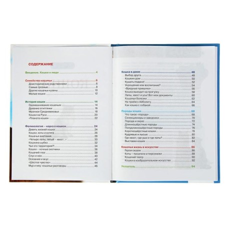 Children's Encyclopedia "Cats"-2