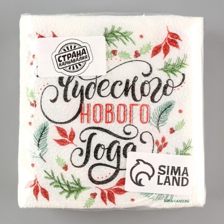 Paper napkins “Wonderful New Year”, single -layer, 24 × 24 cm, New Year's set 20 pcs.-4