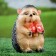 Garden figure "Hedgehog with fly agaric" 15.5cm