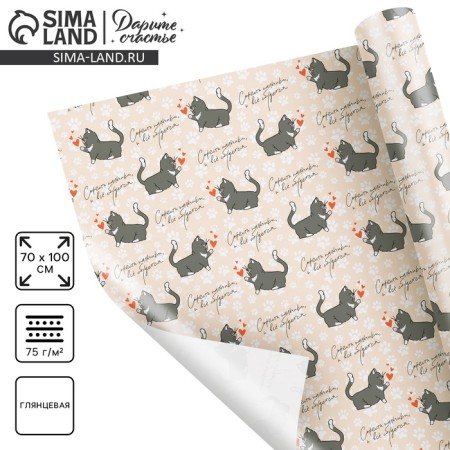 Glossy packaging paper "cats", 70 x 100 cm
