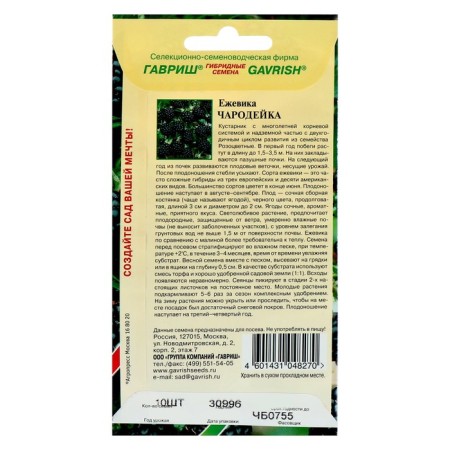 Black Black Seeds "Winer", 10 pcs-1