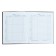 Diary for grades 1-4, 48 sheets "Fairy", hard cover cardboard 7BC, glossy lamination, cheat sheet, 65 g/m2