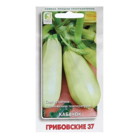 Semen Zucchini "Gribovsky 37" 12 pcs