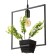 Lamp Bayerlux "Square" Black 1x40W E27 12x34x48 cm