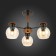 Ceiling EVOLUCE lamp. Sle108102-03. Rasco. 3x60 watts, E27, 49x49x35 cm, black color, dark tree