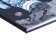 The diary is universal, for grades 1-11, "steep grizzly", a solid cover, matte lamination, selective UV-lame, an offset block, a universal cheat sheet, 48 sheets