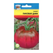 Seeds Tomat 