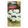 Eustoma flower seeds Rosie F1 white large -flowered terry, 5 pcs.