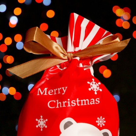 Polyethylene gift package "White Bear", with ties, 14.5 *22.5 cm-1
