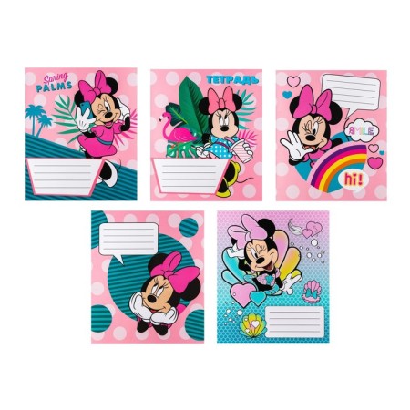 Notebook in a cage 12 sheets, 5 types of mix, cover coated cardboard, Minnie Mouse-1
