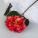 Artificial flowers "Elite hydration" D-16 cm 50 cm, red