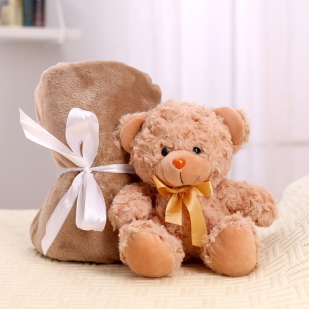 Soft toy with a plaid "Mishutka"-1