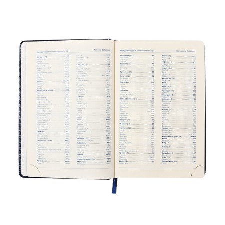 Dated diary of 2025, A5, 168 sheets in a ruler, leatherette "Nebraska", silver cut, blue-7