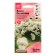 Viola flowers "Kul Vave White F1", 5 pcs